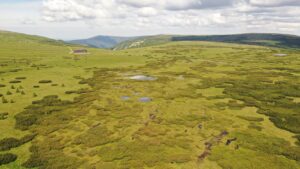 Our peat bog research in the Krknoše Mts. supported by Interreg project